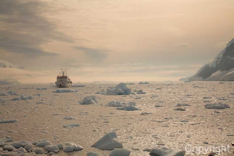 ship and ice