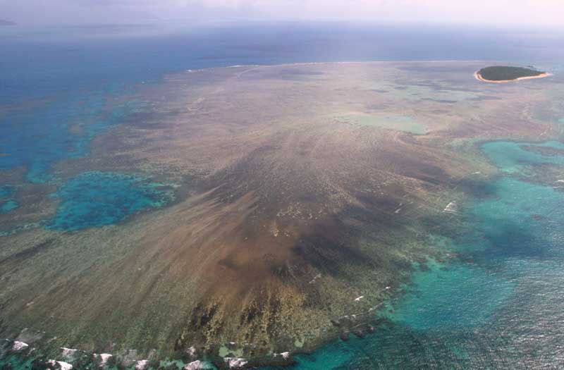 gbr10